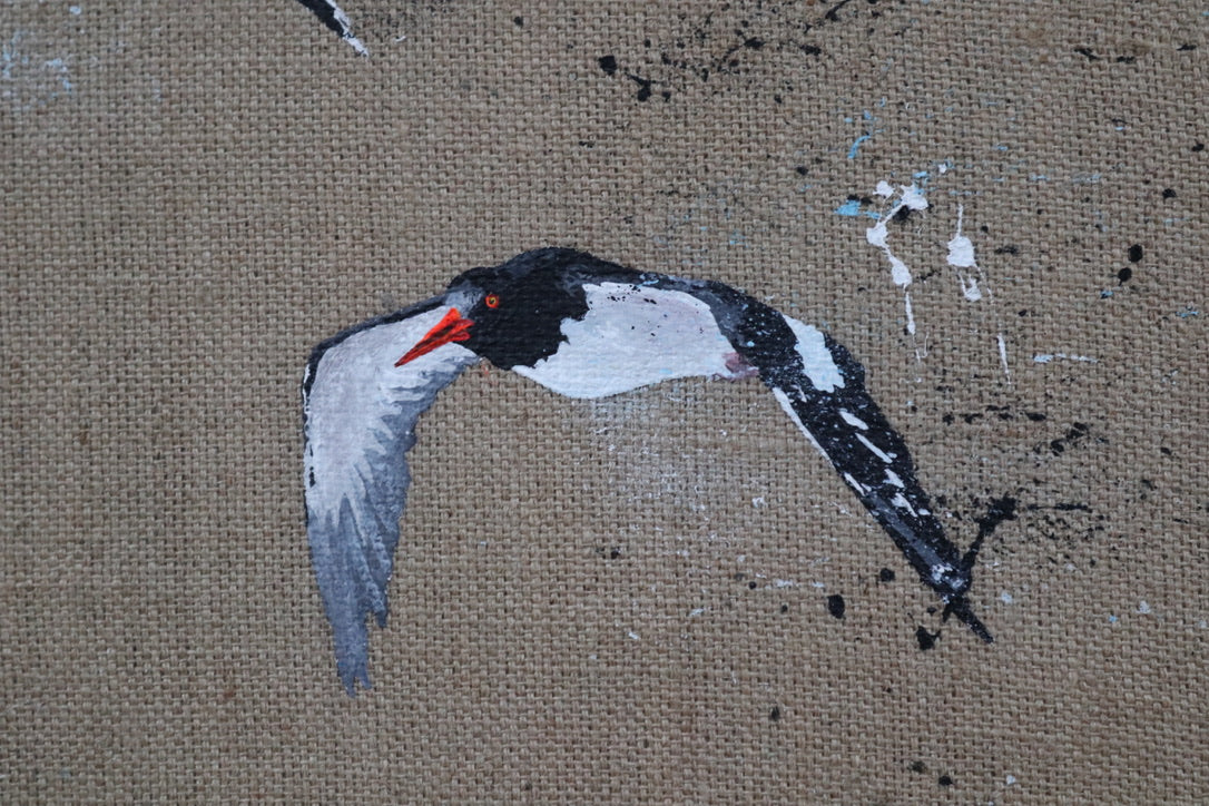 Oystercatchers - Original Artwork