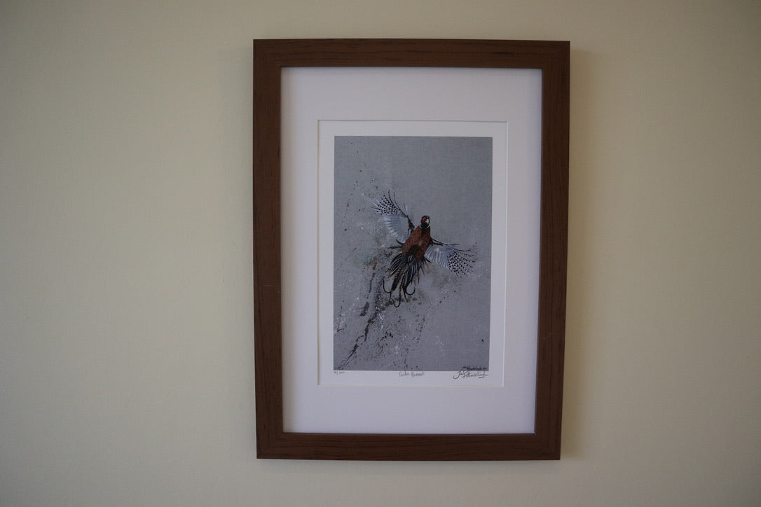 Framed Golden Pheasant