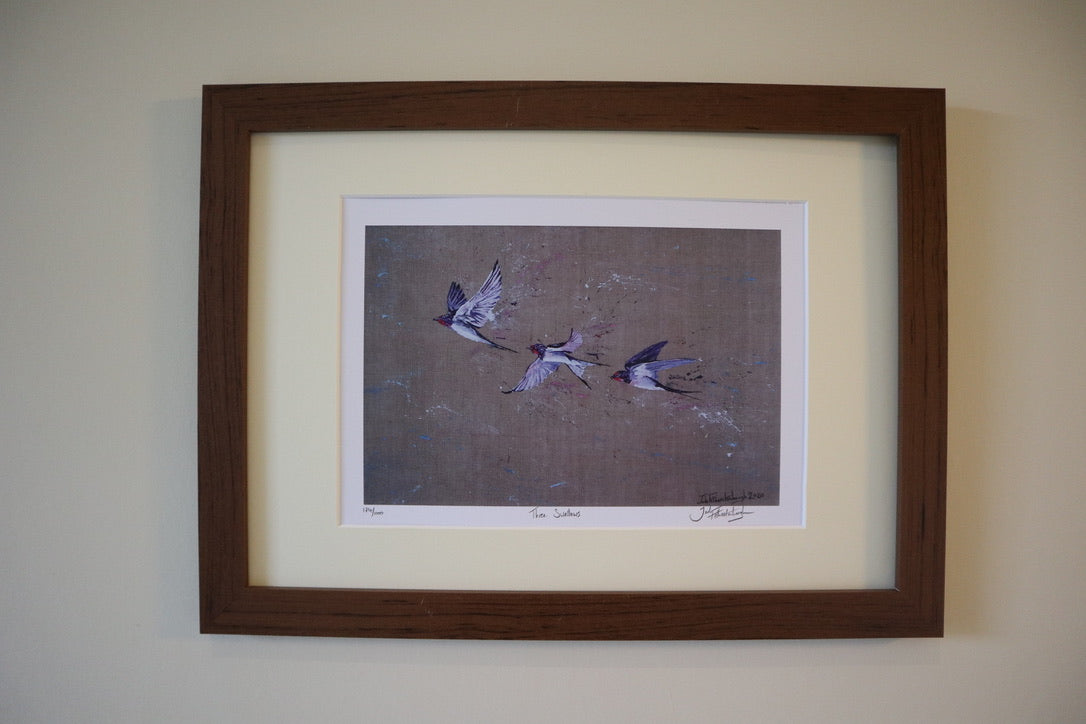 Classic Bird Prints.