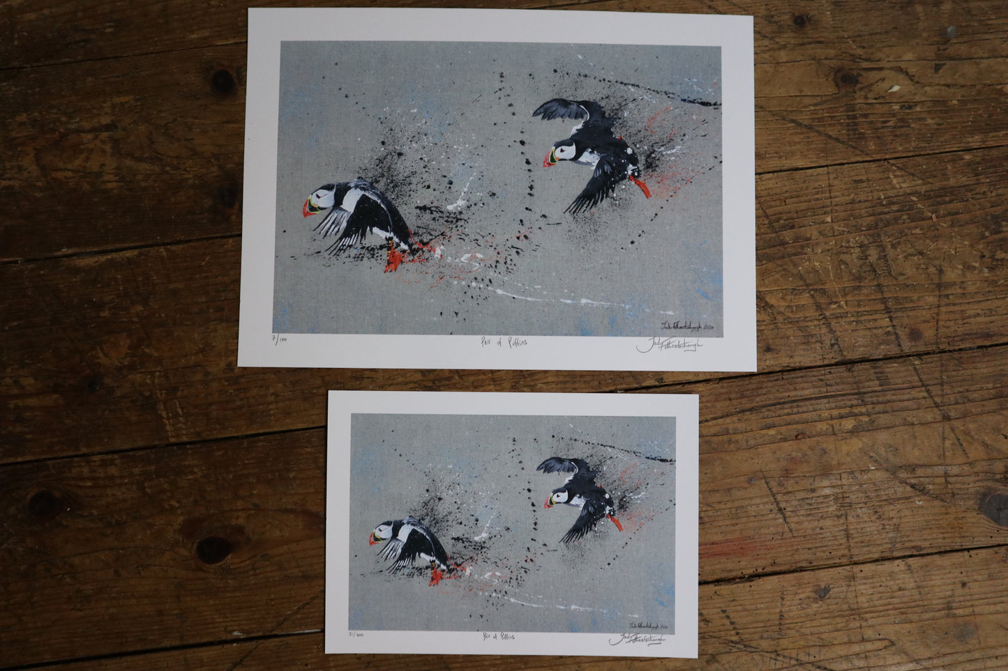 Pair of Puffins Art Prints
