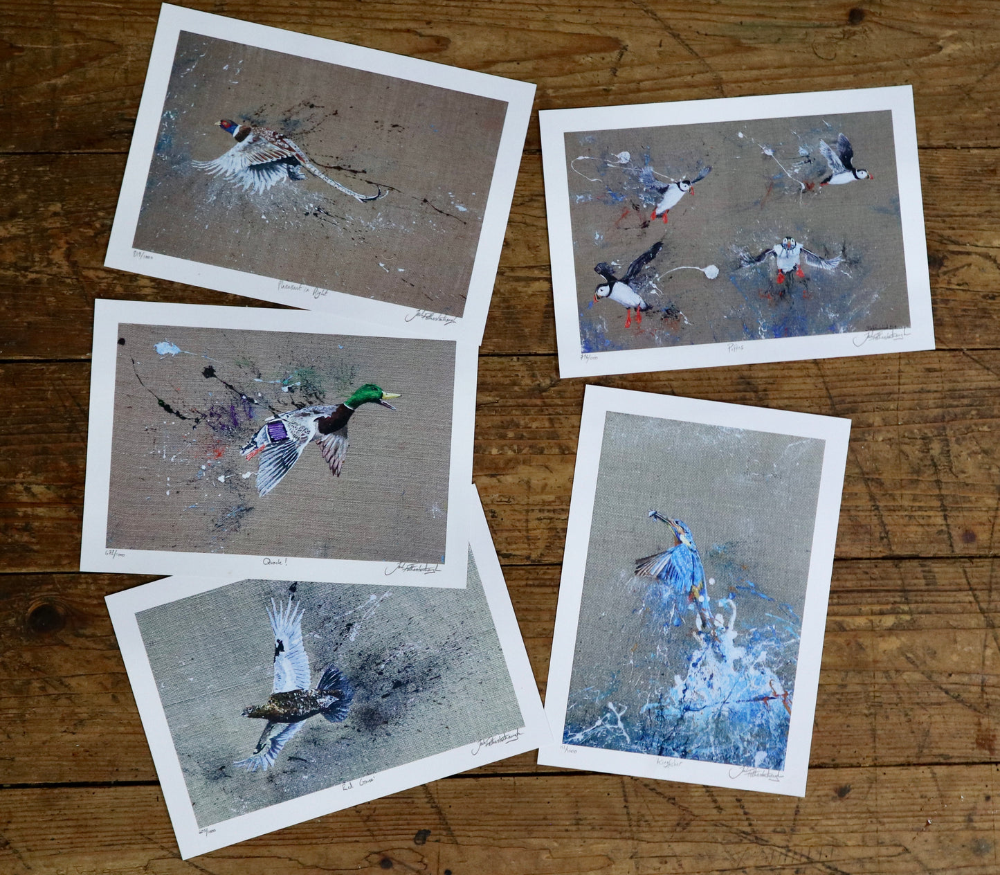 Assorted Prints..