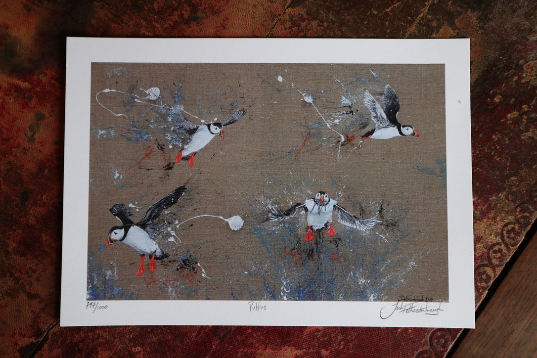 Assorted Prints..