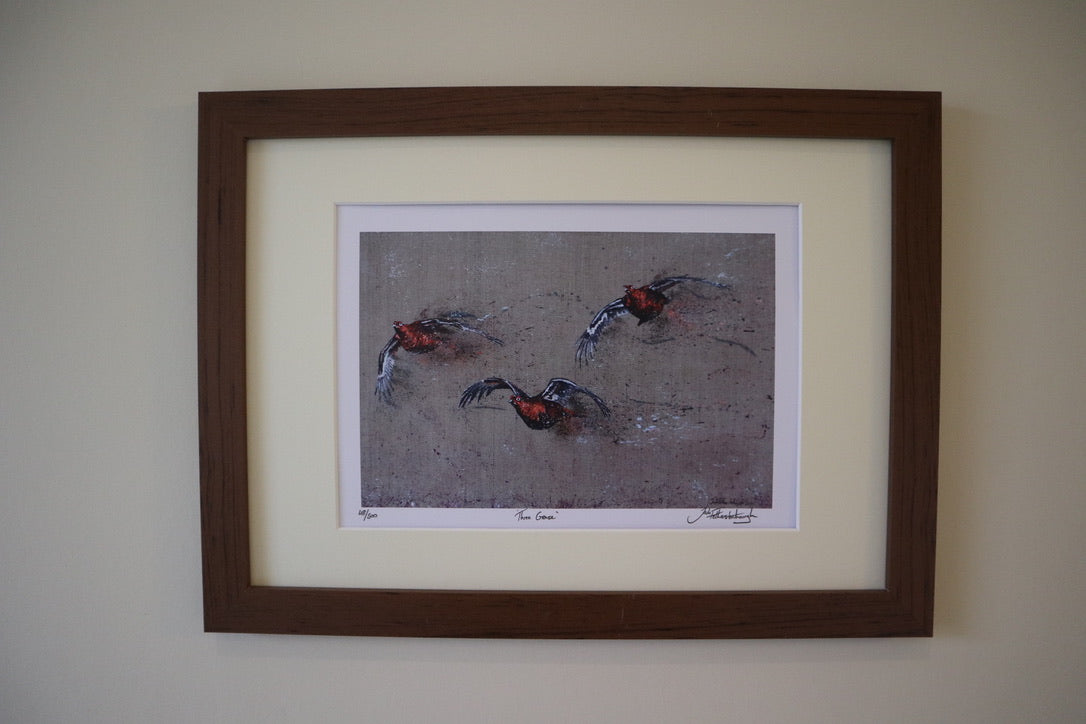 Three Grouse Framed / Prints