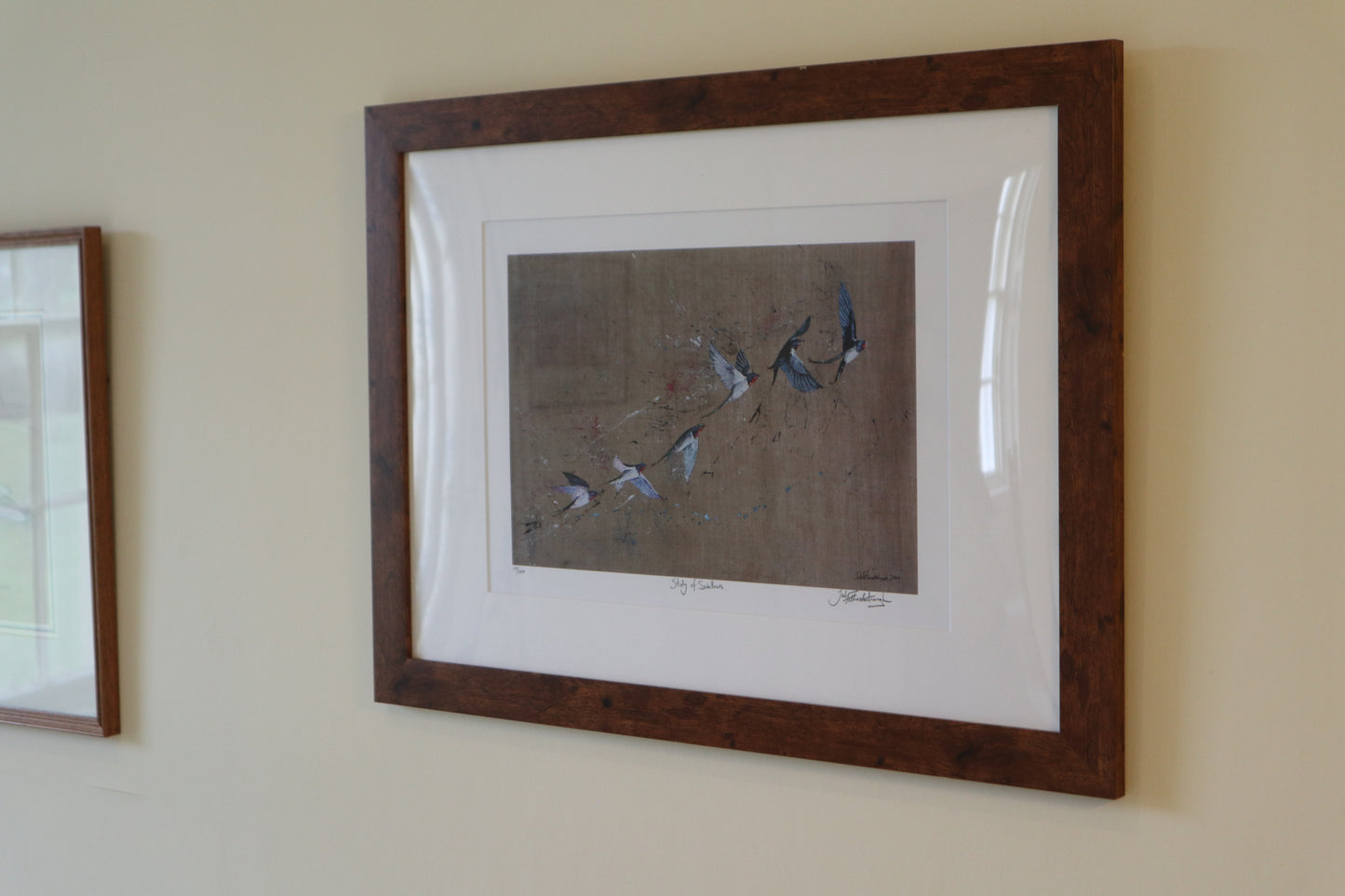 Study of Swallows Prints