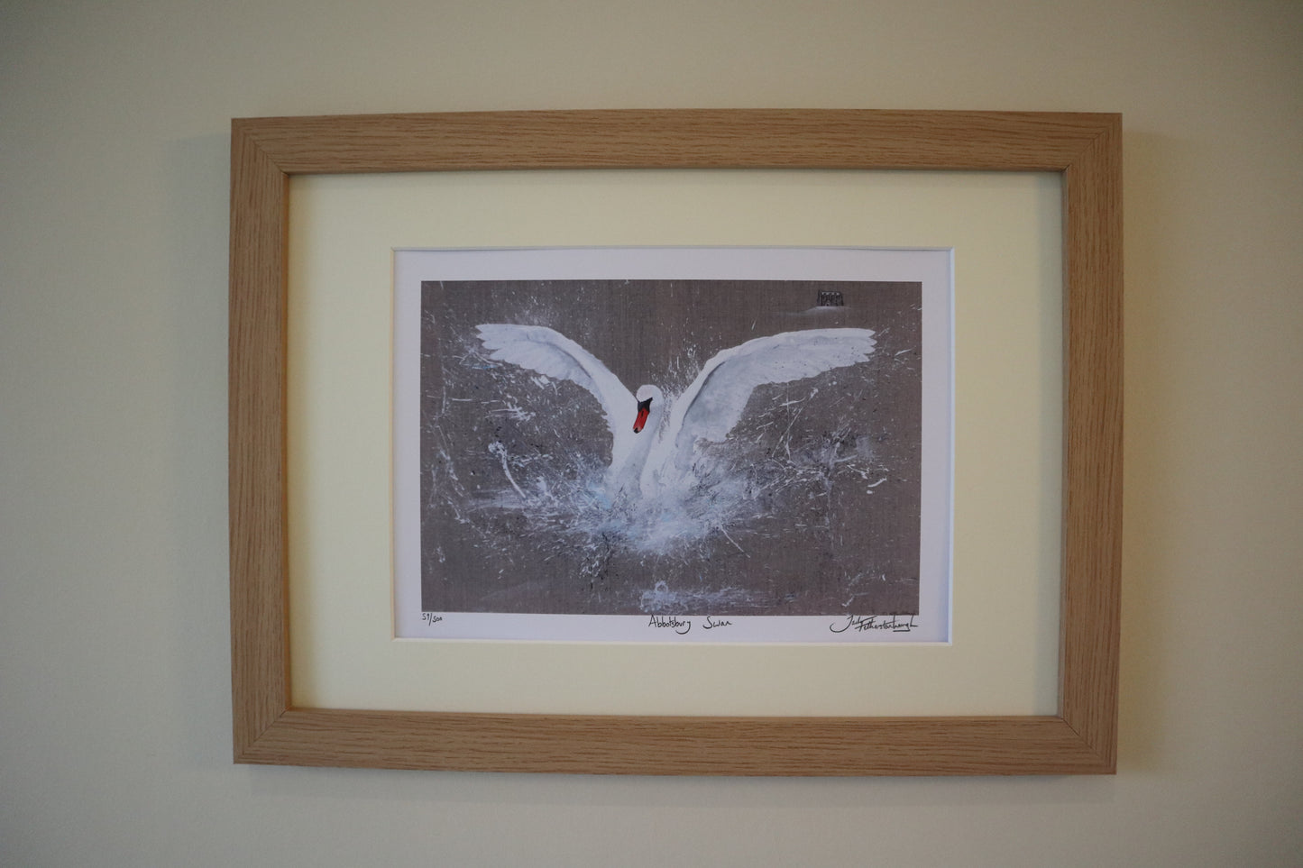 Framed Abbotsbury Swan