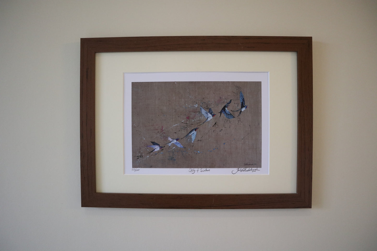 Study of Swallows Prints
