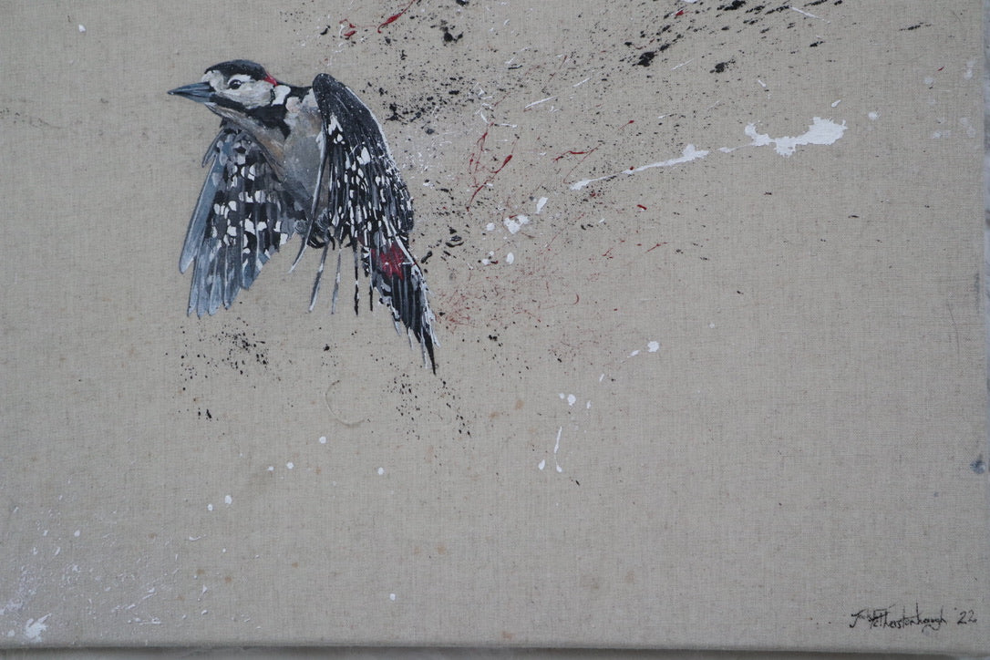 Woodpecker - Original Artwork