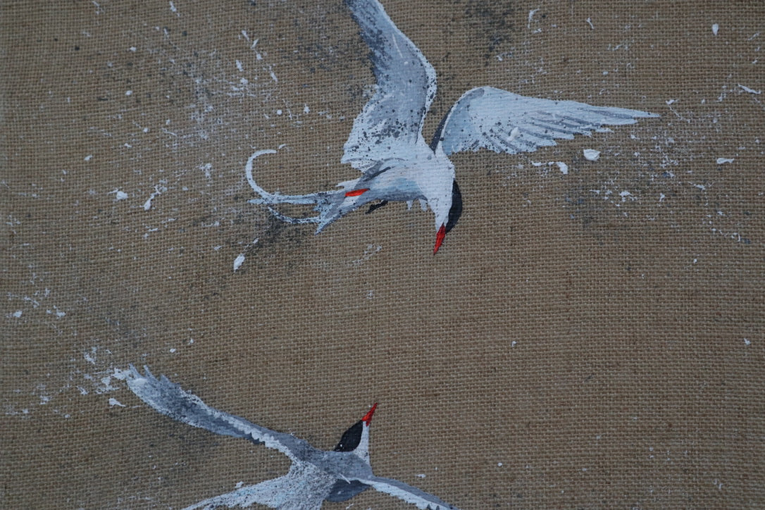 Pair of Arctic Terns - Original Artwork