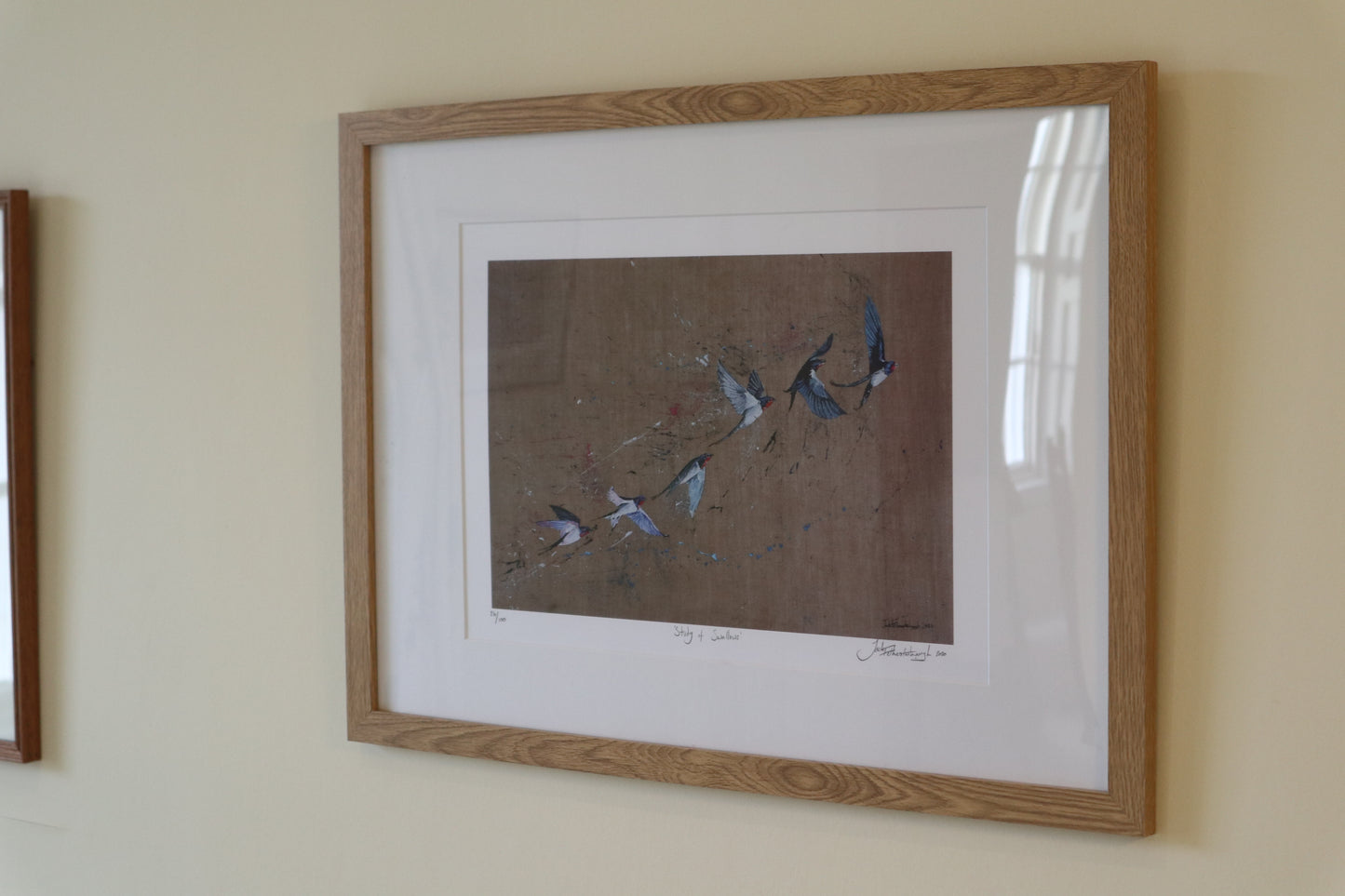 Study of Swallows Prints