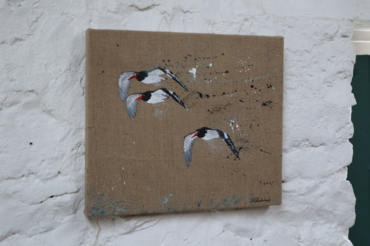 Oystercatchers - Original Artwork