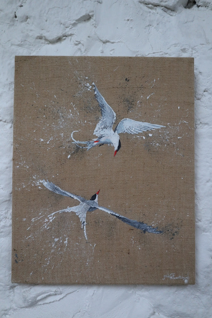 Pair of Arctic Terns - Original Artwork