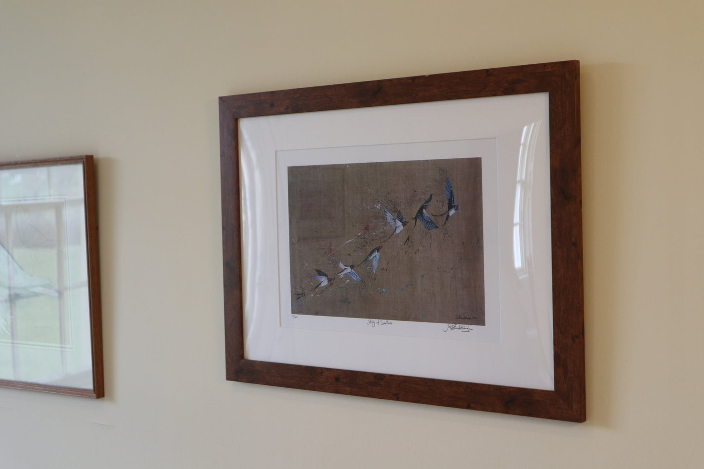 Study of Swallows Prints