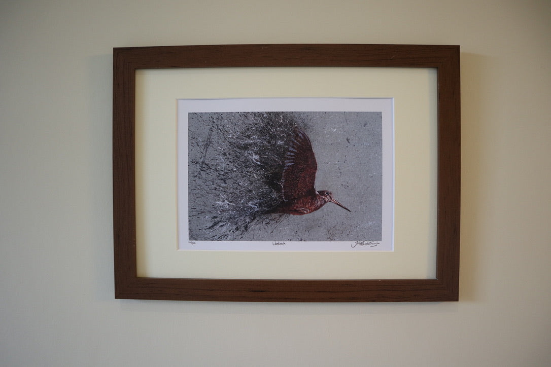Framed Woodcock