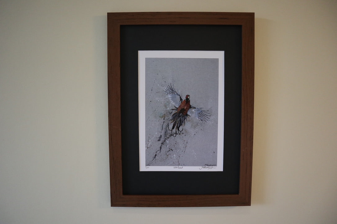 Framed Golden Pheasant