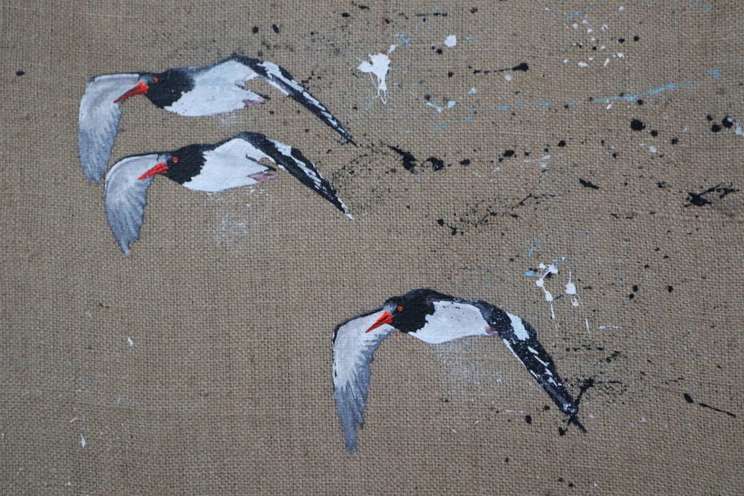 Oystercatchers - Original Artwork