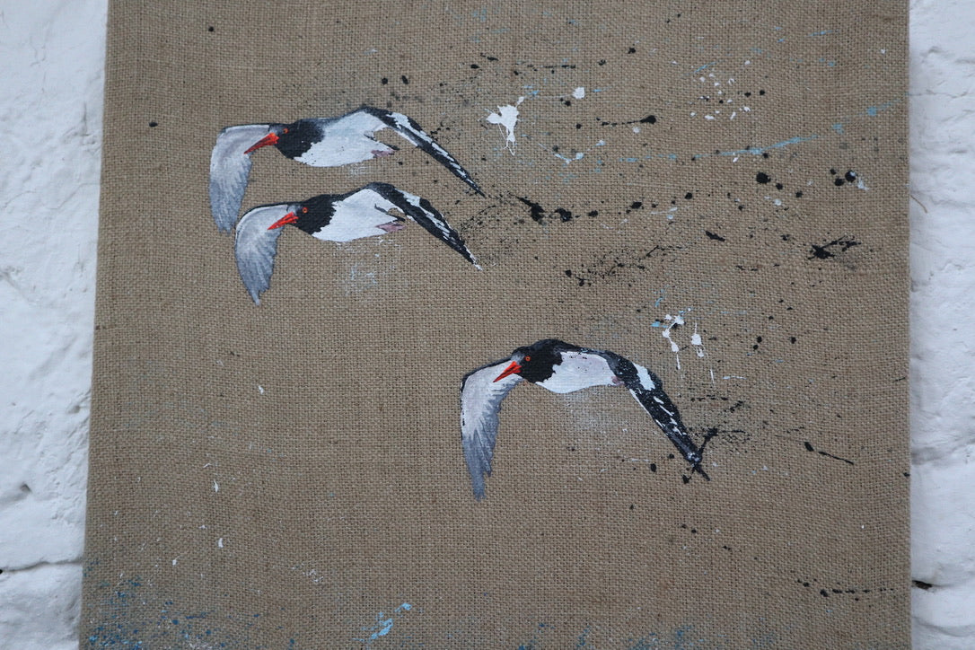 Oystercatchers - Original Artwork