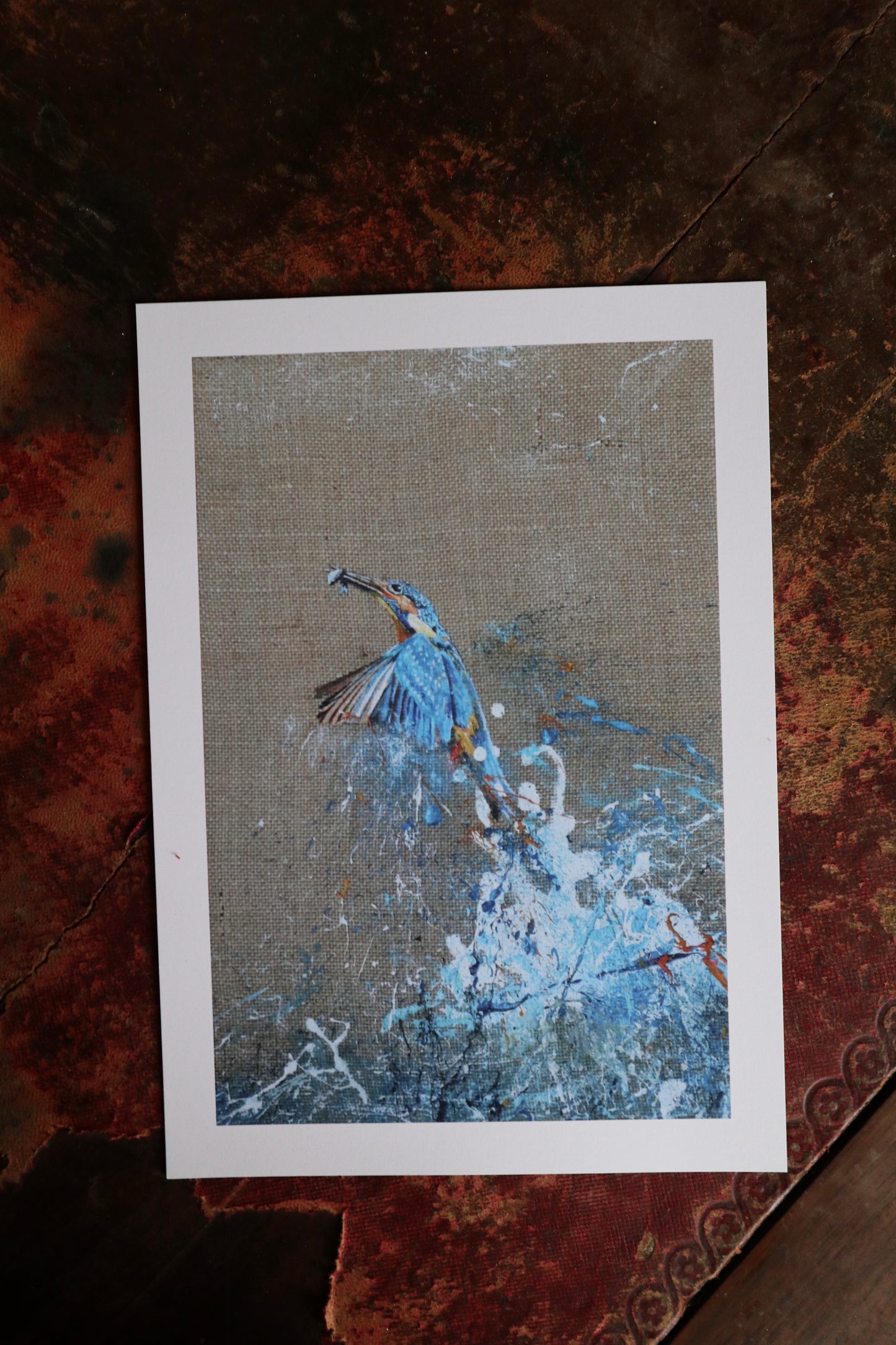 Framed Kingfisher with Fish