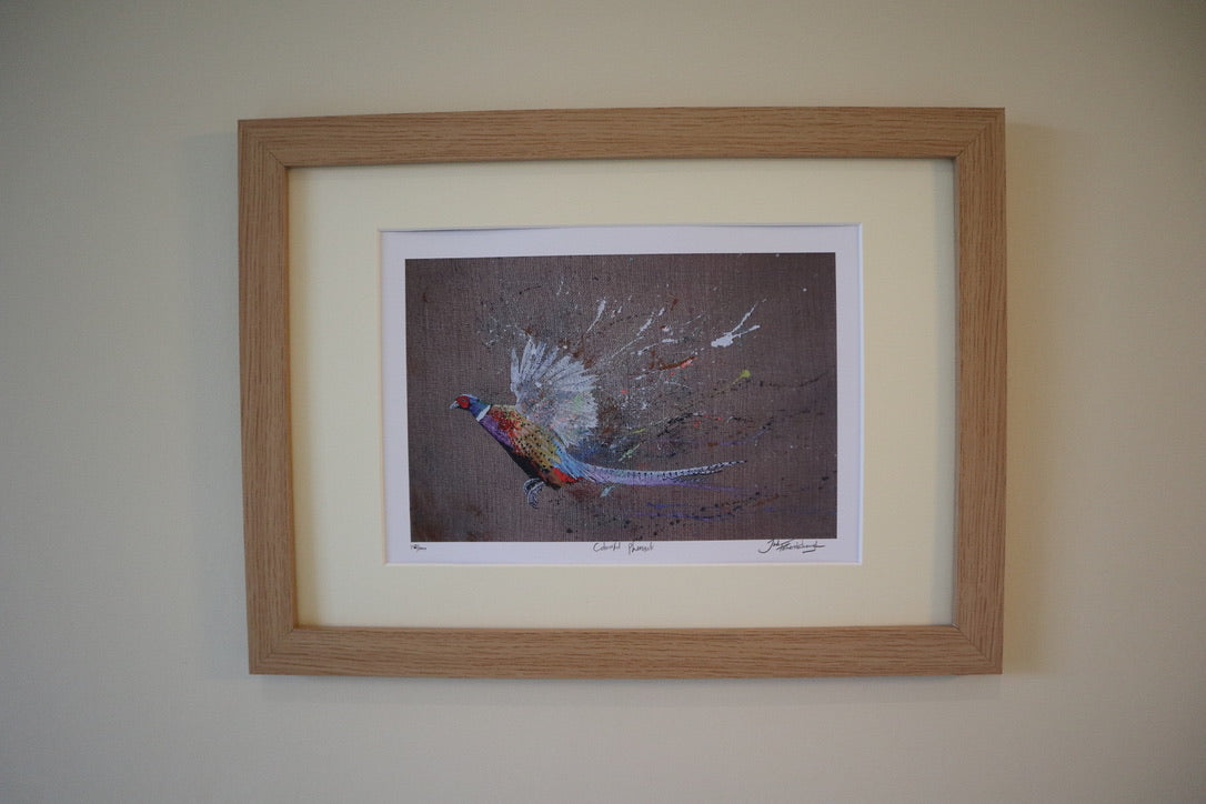 Framed Colourful Pheasant