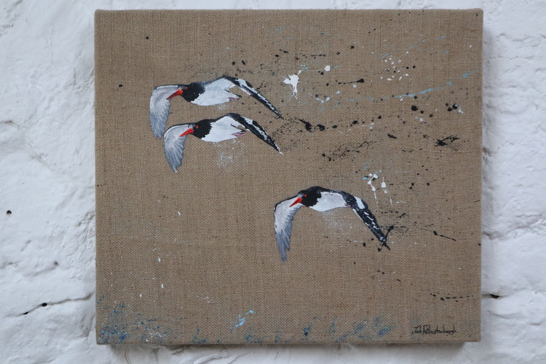 Oystercatchers - Original Artwork