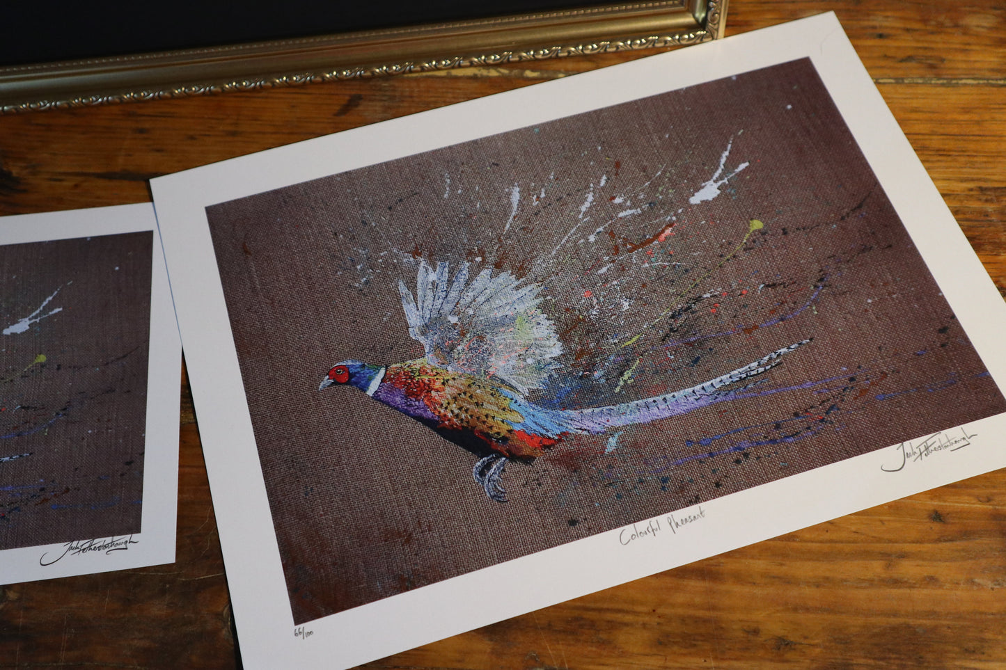 Colourful Pheasant Prints