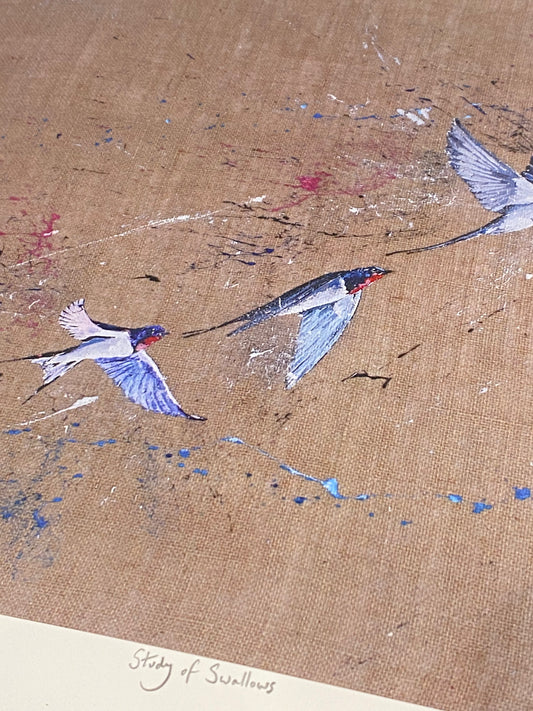 Close-up detail of Study of Swallows print showing brushwork and colour