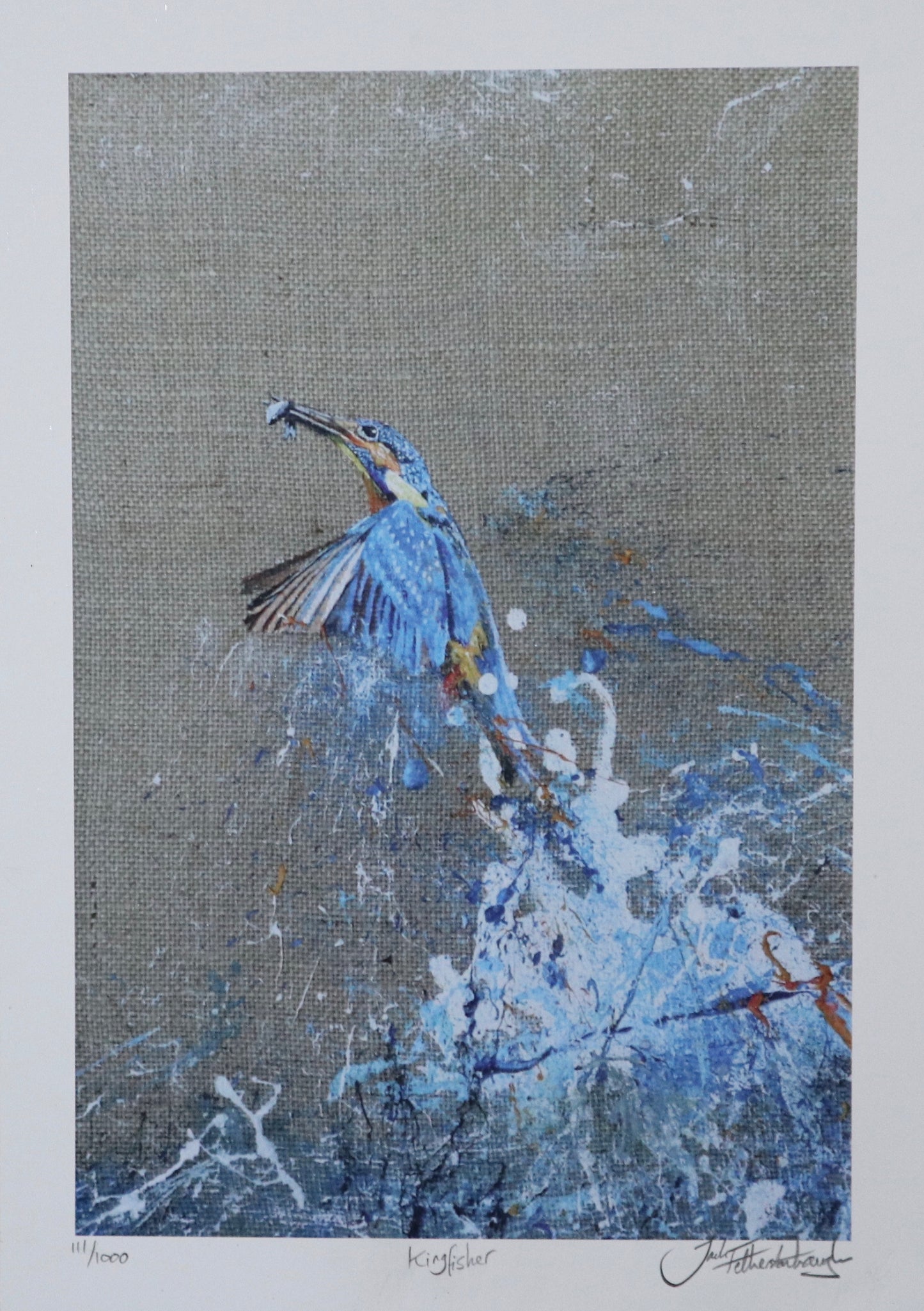 Assorted Prints..