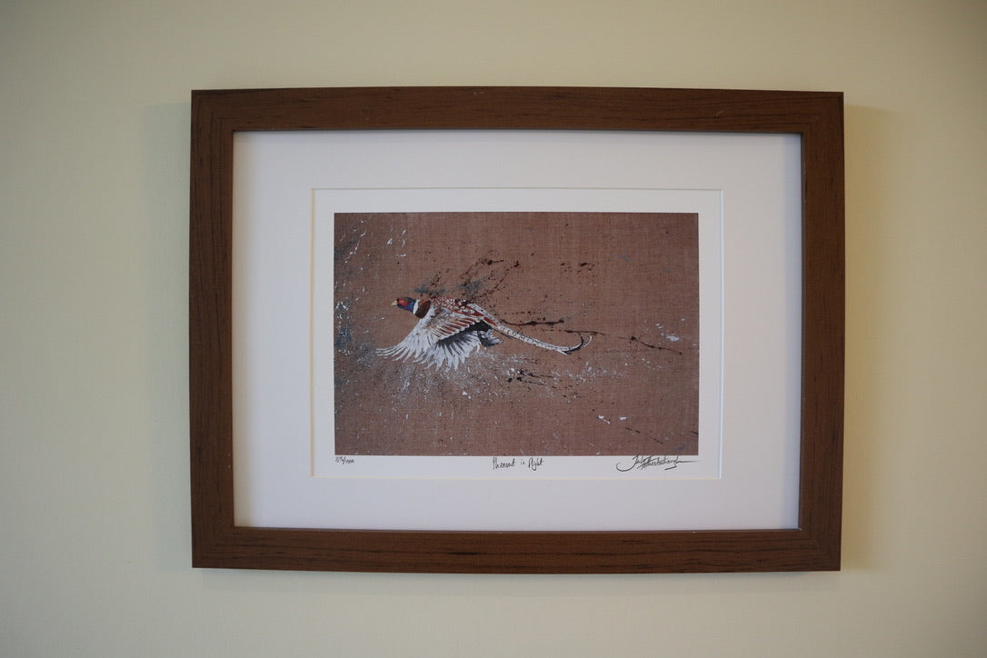 Framed Pheasant in Flight