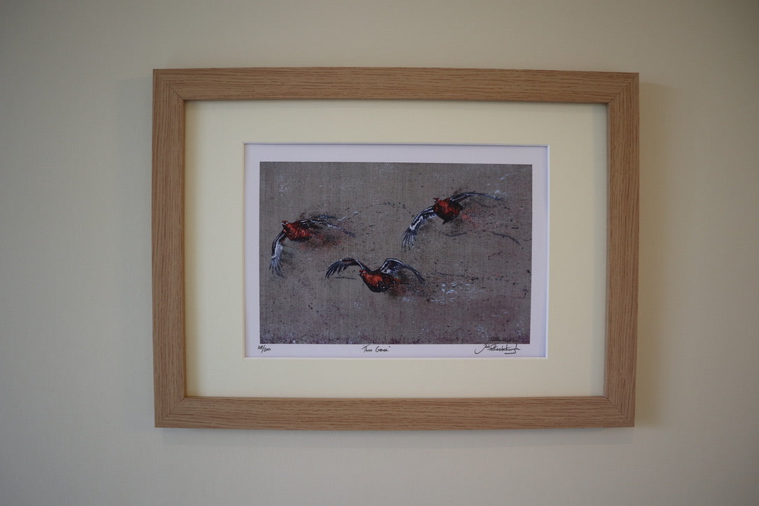 Three Grouse Framed / Prints