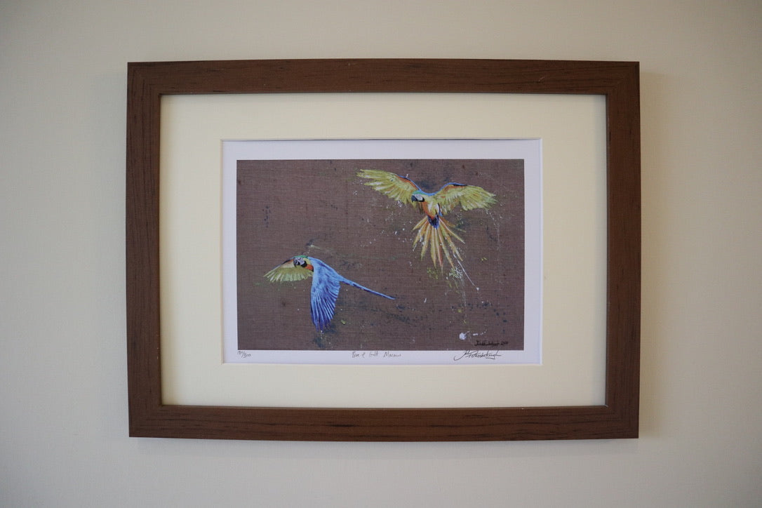 Classic Bird Prints.