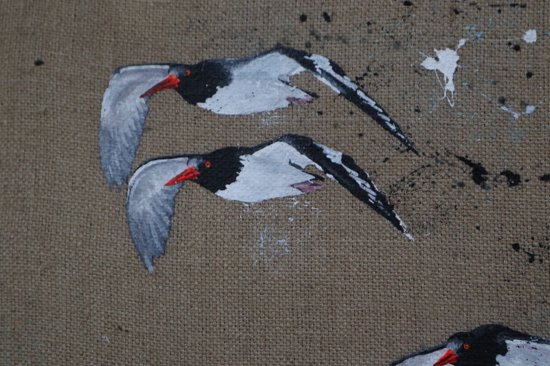 Oystercatchers - Original Artwork