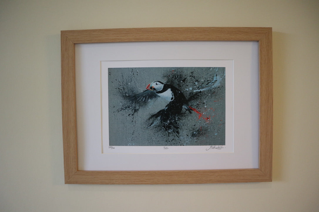 Classic Bird Prints.