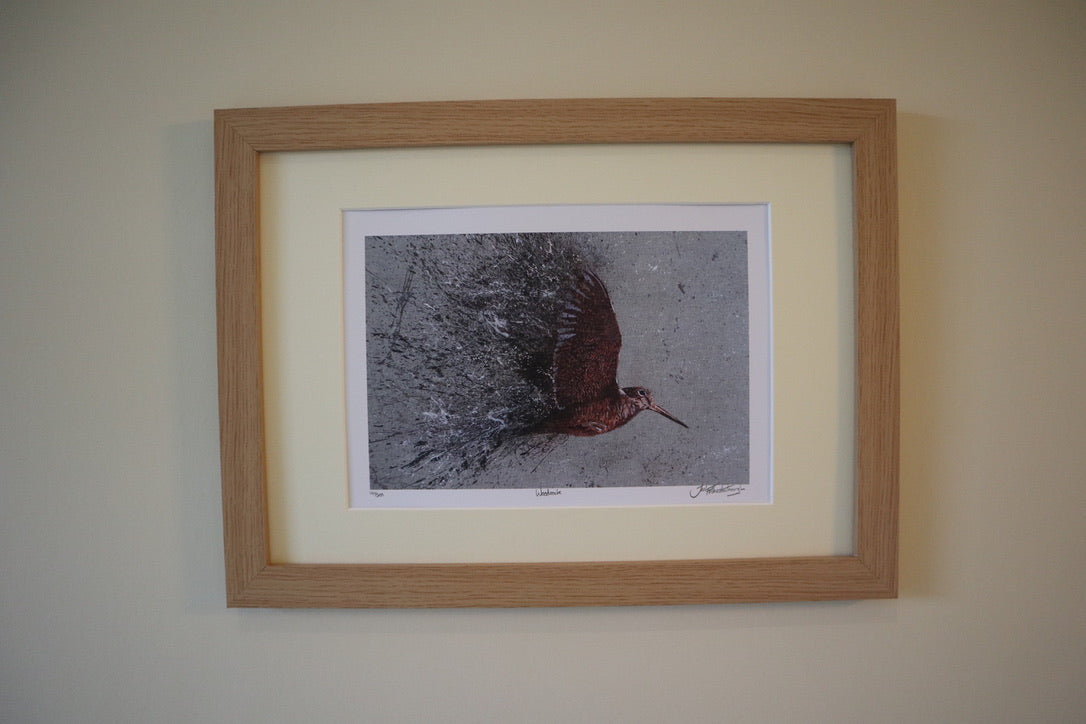 Framed Woodcock