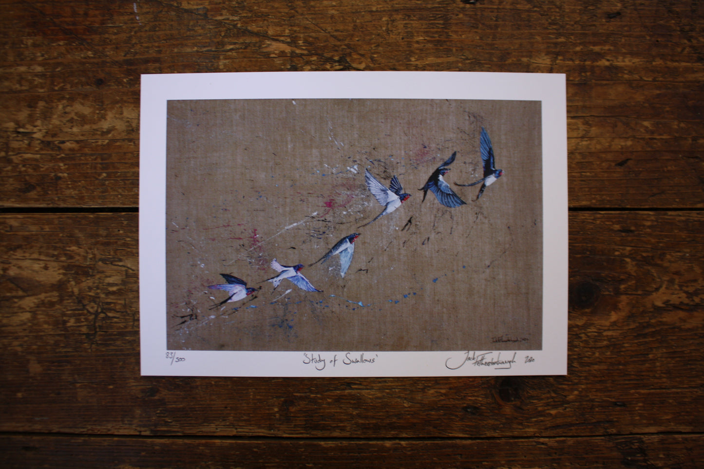 Framed Study of Swallows