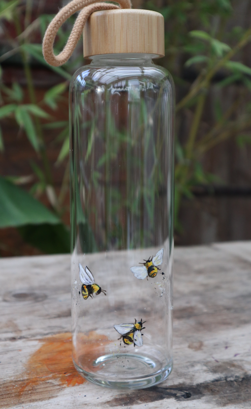 Glass Water Bottles