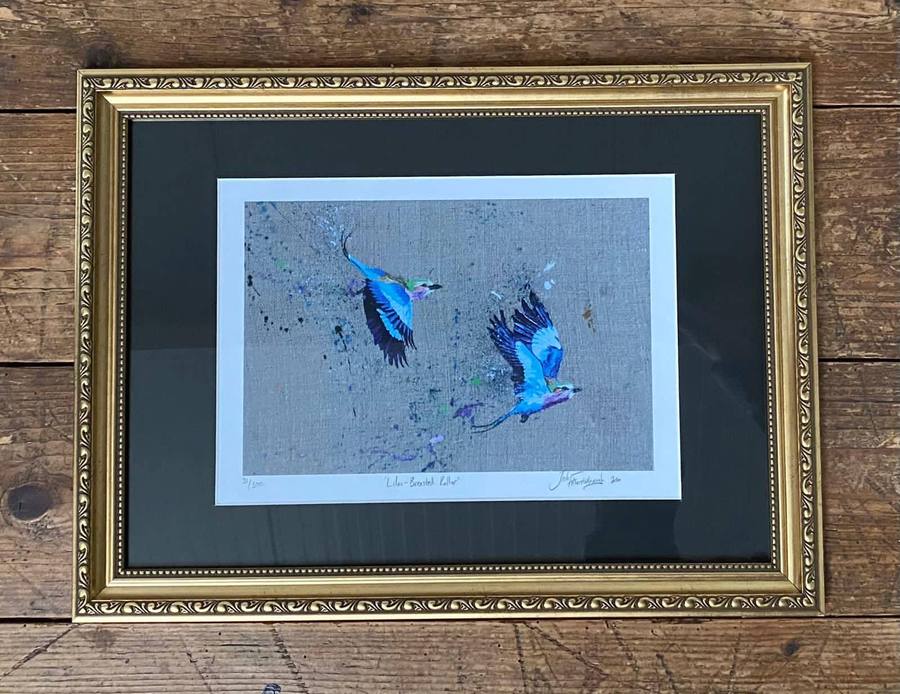 Framed Lilac Breasted Rollers