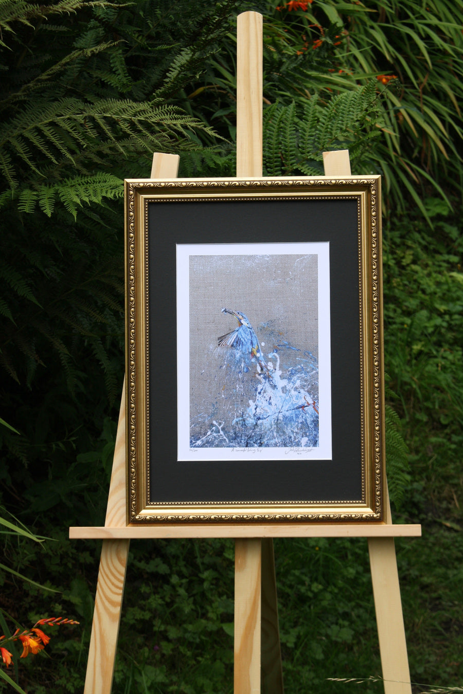 Framed Kingfisher with Fish