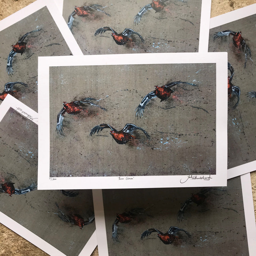 Three Grouse Framed / Prints