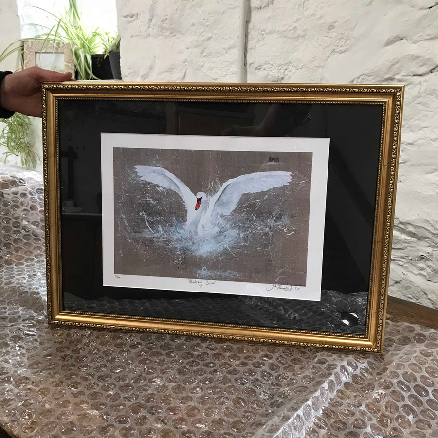 Abbotsbury Swan
