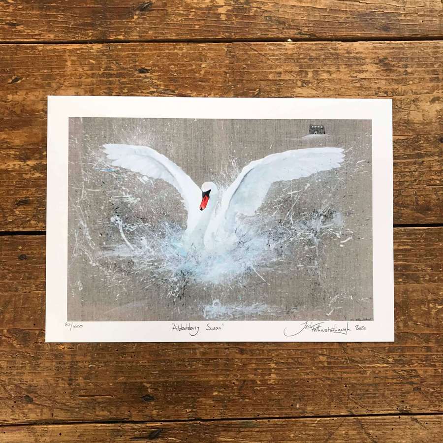 Framed Abbotsbury Swan