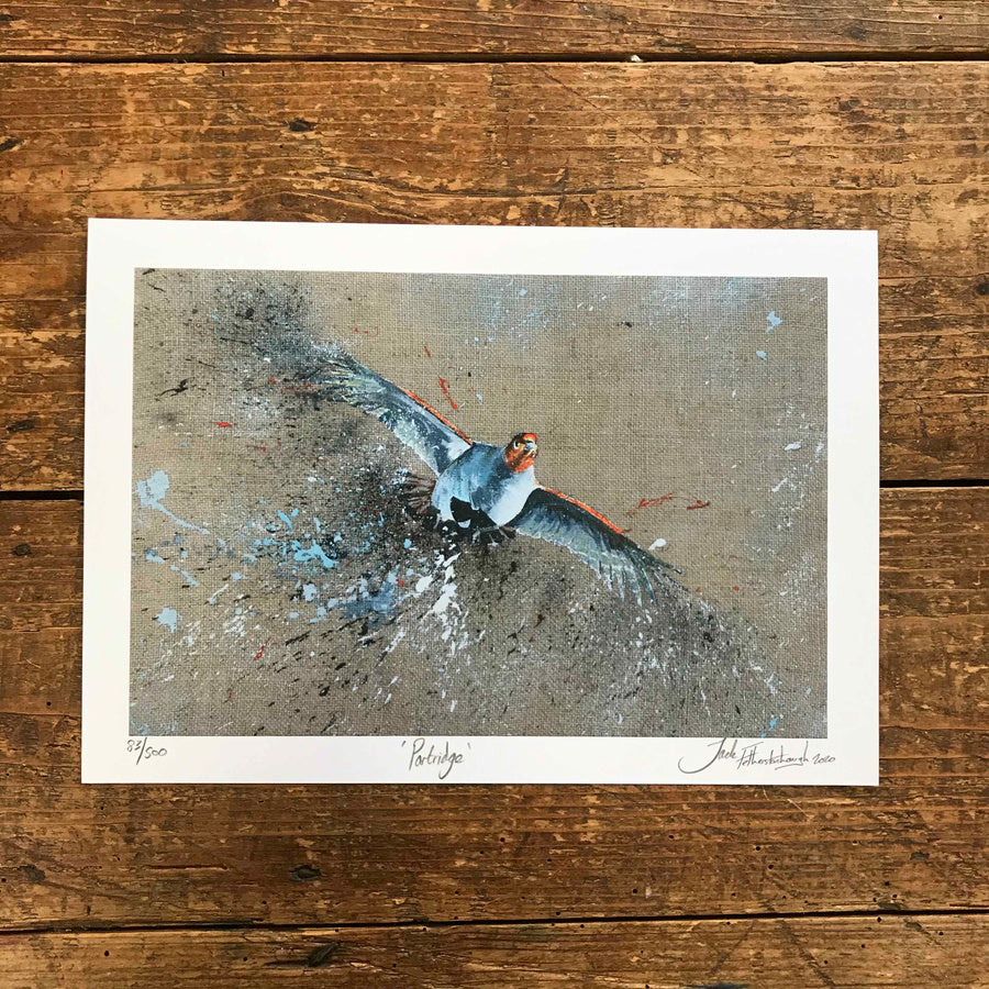 Framed English Partridge