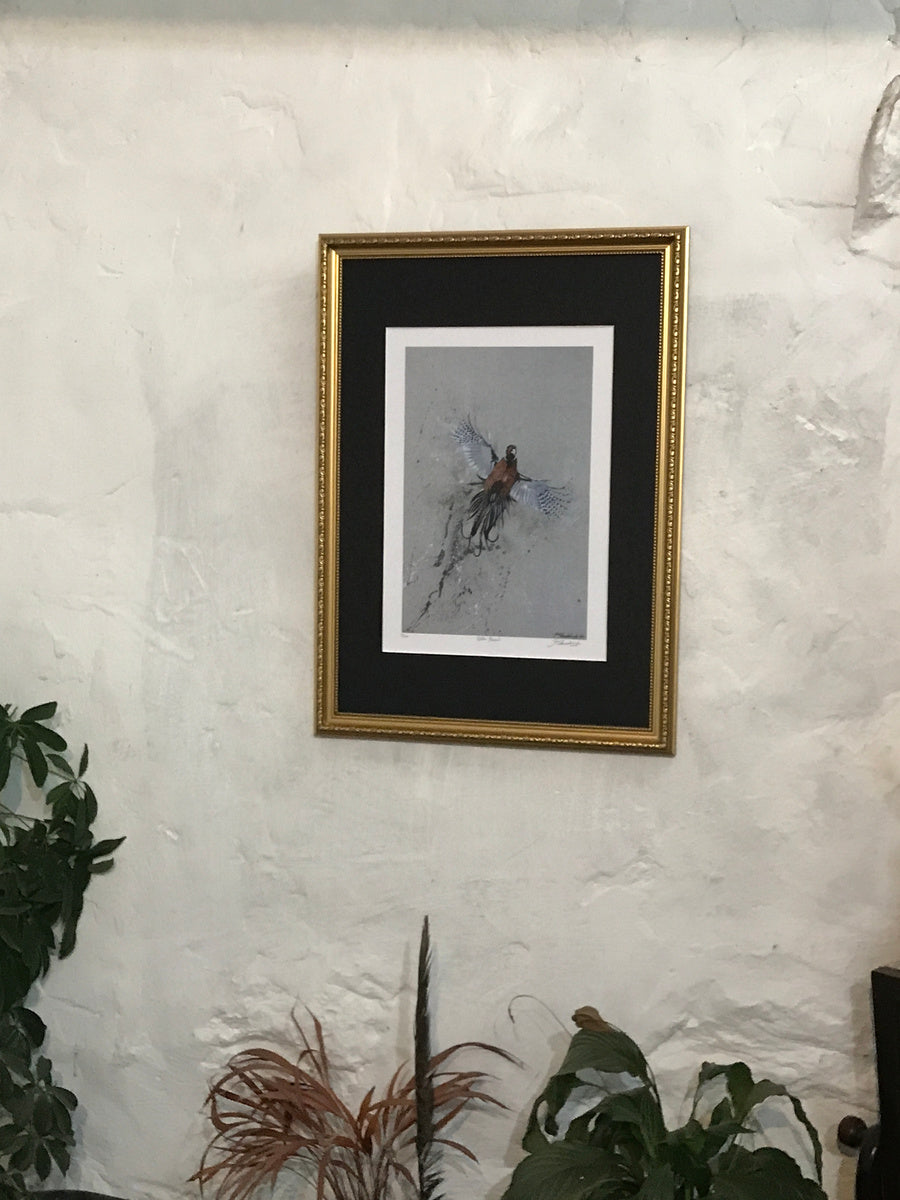 Framed Golden Pheasant