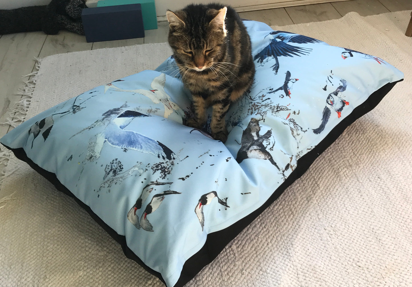 Pet Pads (Coastal Bird Design)