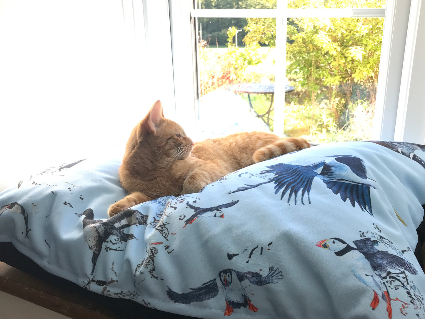 Pet Pads (Coastal Bird Design)