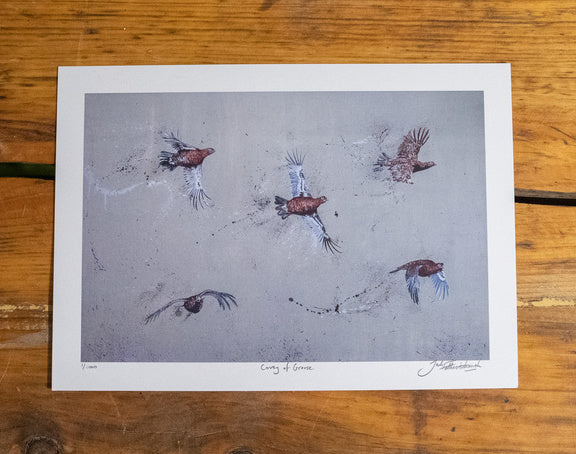 Pheasant Art Prints – Signed Limited Edition
