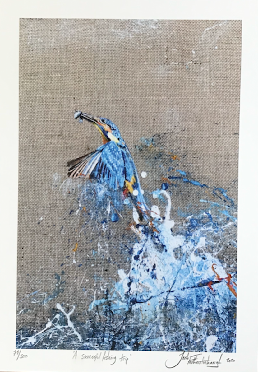 Framed Kingfisher with Fish