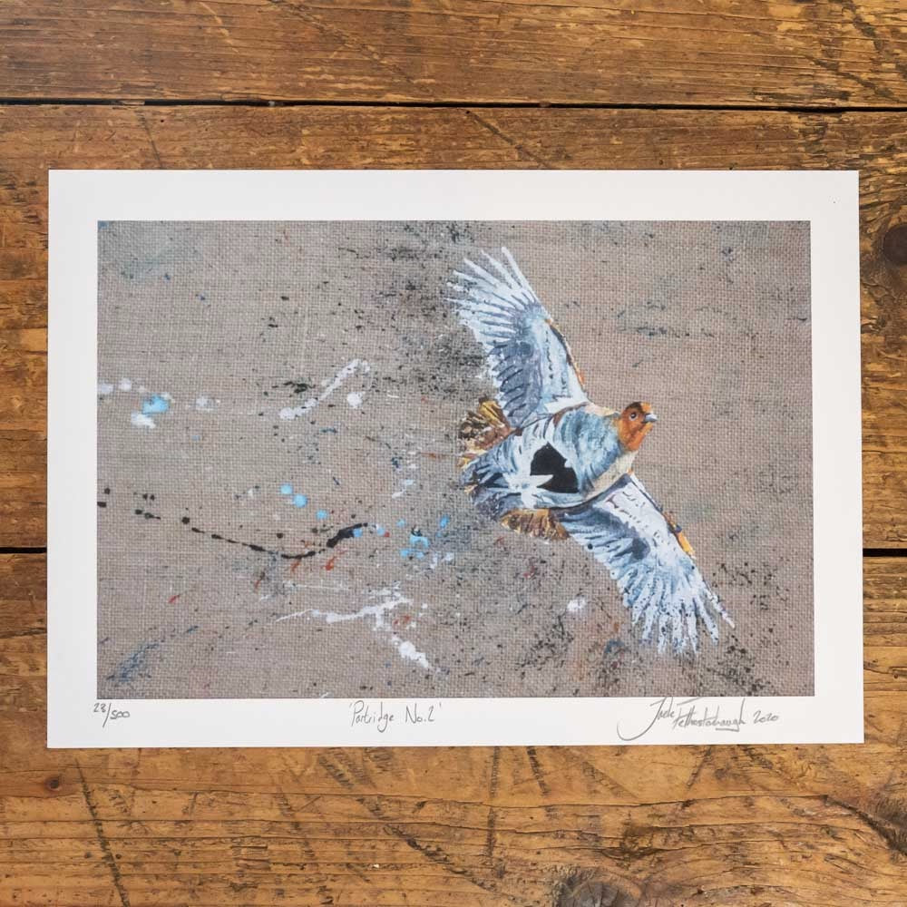 Artist Print/Poster of a English Partridge bird. Each Print is hand signed by artist Jack Fetherstonhaugh. Artwork available at www.jackfethers.com
