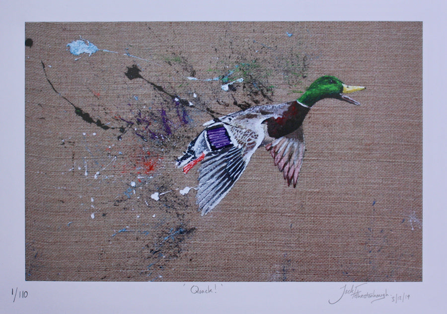 Assorted Prints..