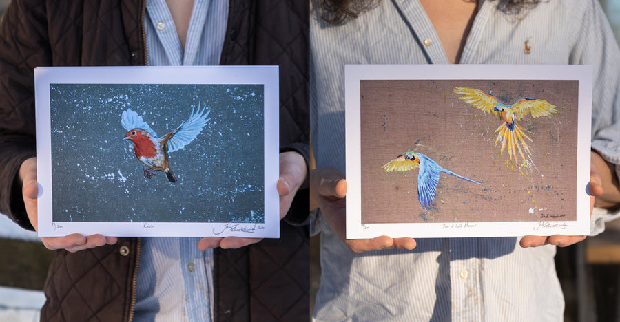 Classic Bird Prints.