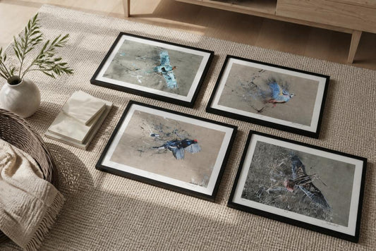 Signed Bird Prints for Home Decor: 10 Stunning Options