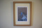 Framed Kingfisher with Fish by Jack Fetherstonhaugh – photo 1 of 6